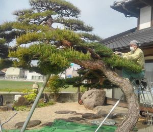 �����������������C���[�W