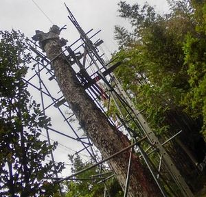 �����������������C���[�W